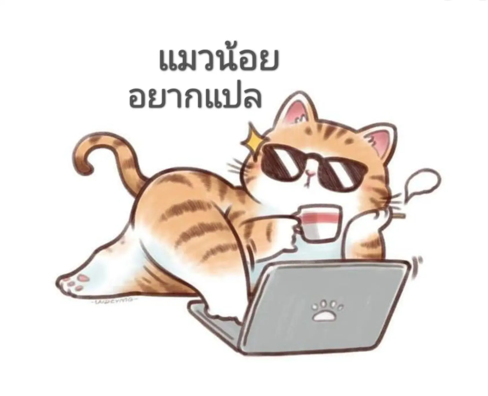 แมวน้อย